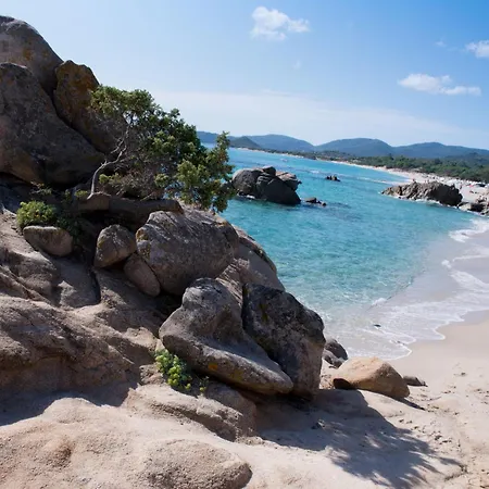 Iris By Interhome Daire *